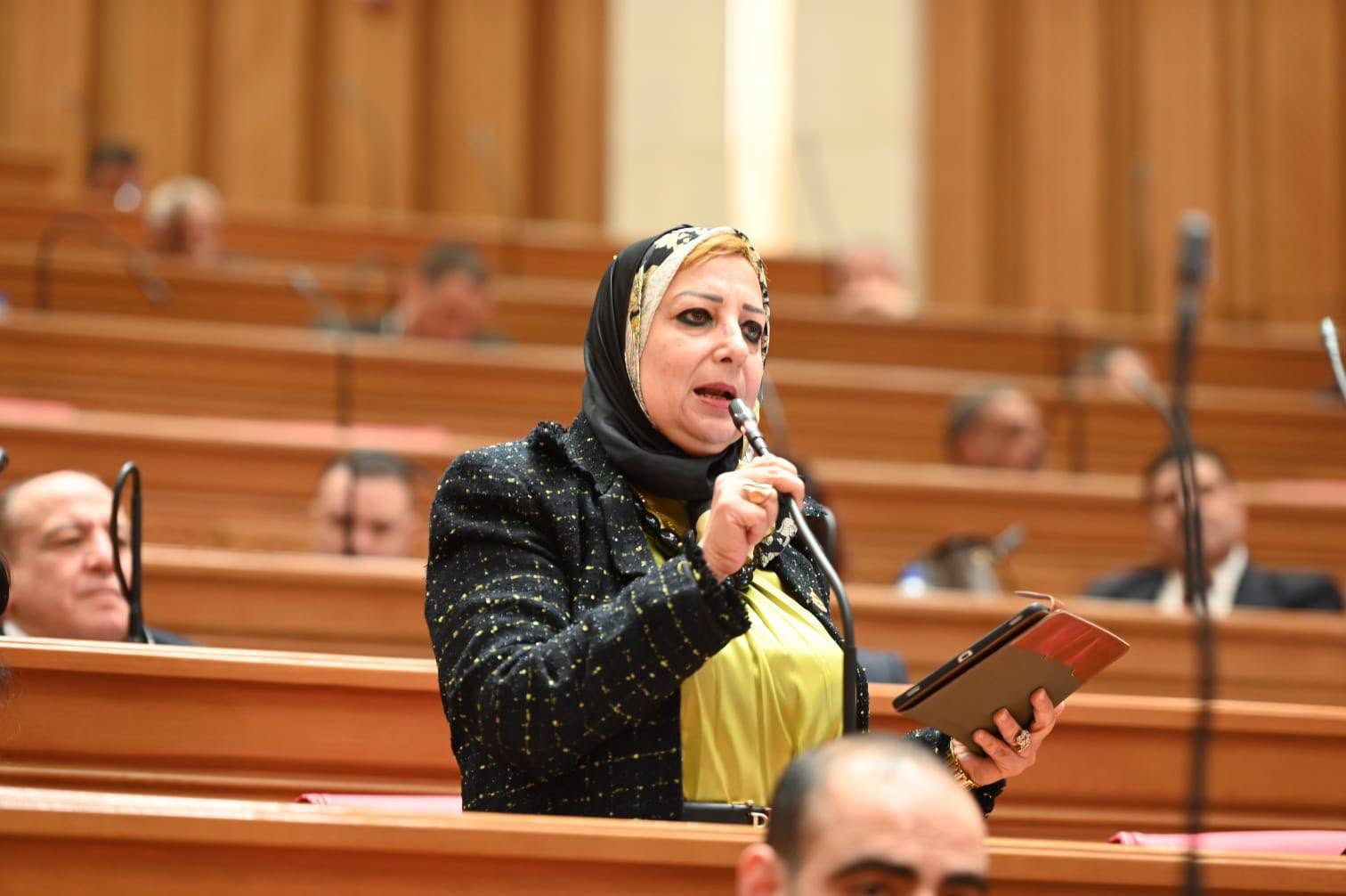 الدكتورة نسرين عمر، عضو مجلس النواب وأستاذ الميكرو